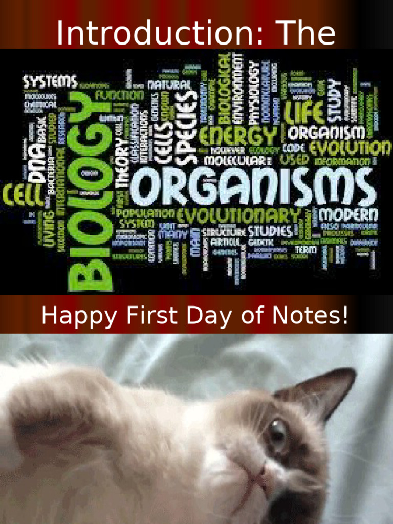 Intro+Chapter+1+(Honors) | PDF | Experiment | Biology