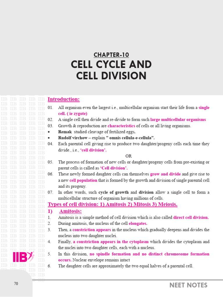 Cell Cycle and Division Overview | PDF | Mitosis | Cell Cycle