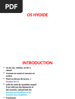 Anatomie de l'os hyoïde | PDF | Cou | Système squelettique