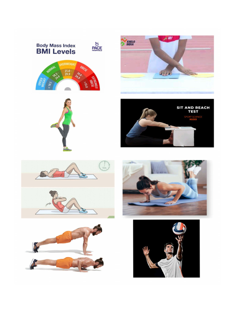 WHAT IS PET PDF visual data 6