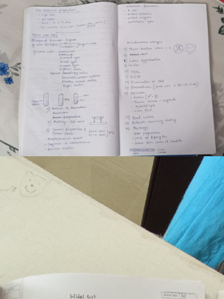 Microbiology Practical File Contents 2 | PDF