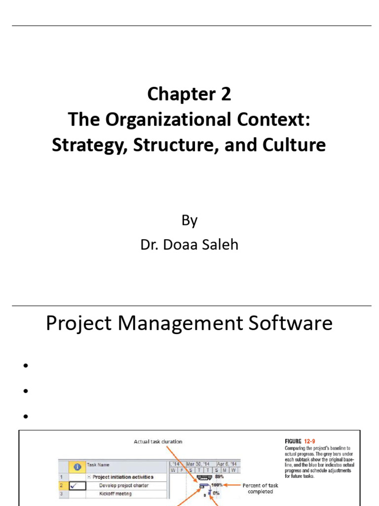 02 Projrct Strategy | PDF | Strategic Management | Goal
