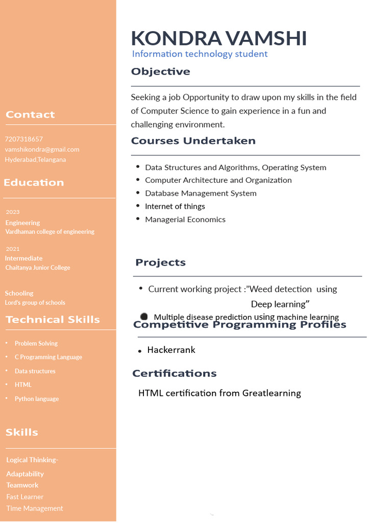 IT Student Seeking Job Opportunities | PDF
