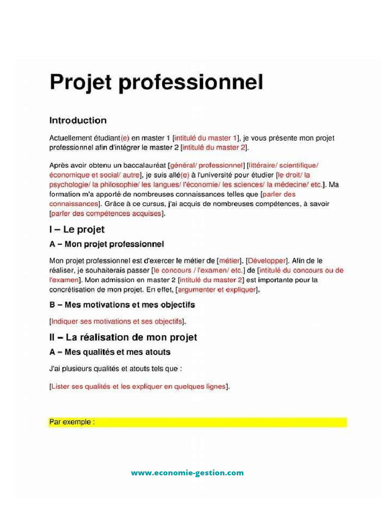 8 - Projet Professionnel Exemple Gratuit Master | PDF