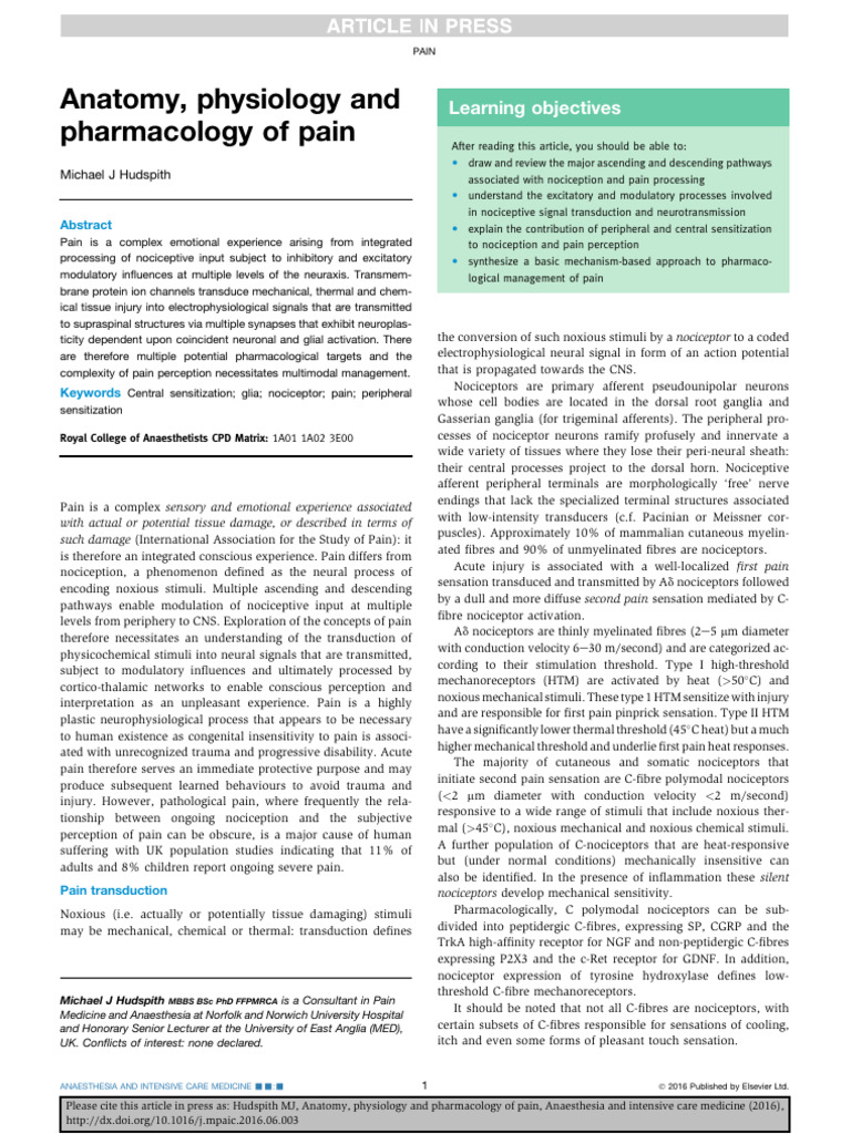 Anatomy and Pharmacology of Pain | PDF | Neuron | Inhibitory ...