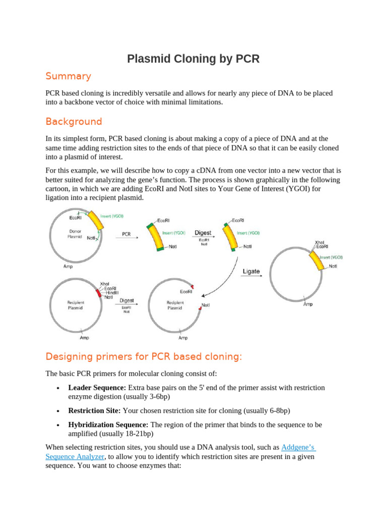 Handouts-1-Plasmid Cloning by PCR | PDF | Molecular Cloning ...
