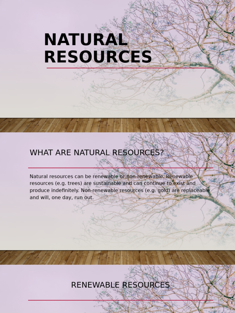 Understanding Natural Resources | PDF | Renewable Resources | Water