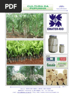 APOSTILA  PUPUNHA - EMATER- RIO SÃO GONÇALO