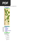 Download Suplir by Eri Candy SN81171122 doc pdf