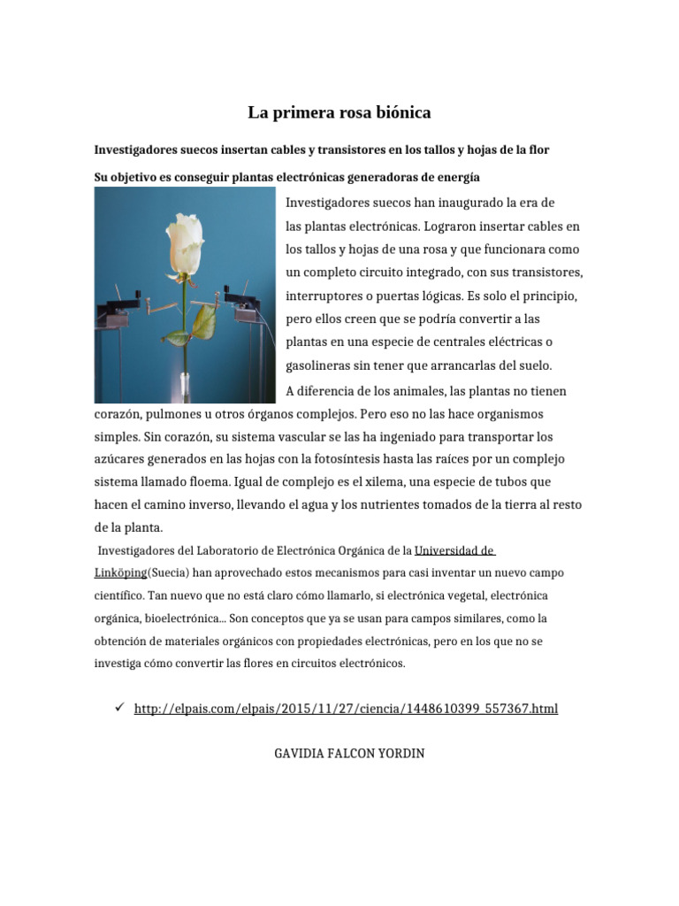 La Primera Rosa Biónica | PDF