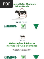 Balde Cheio MG - InformaÃ§Ãµes BÃ¡sicas - Site (jun11)