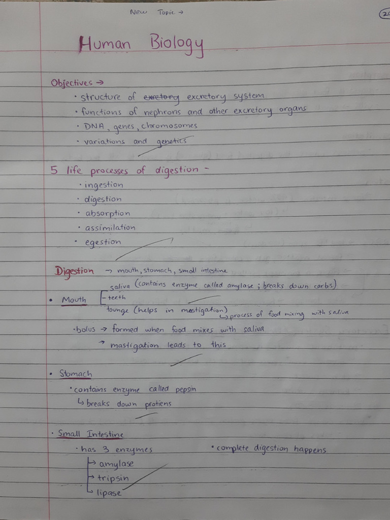 Bio Notes | PDF