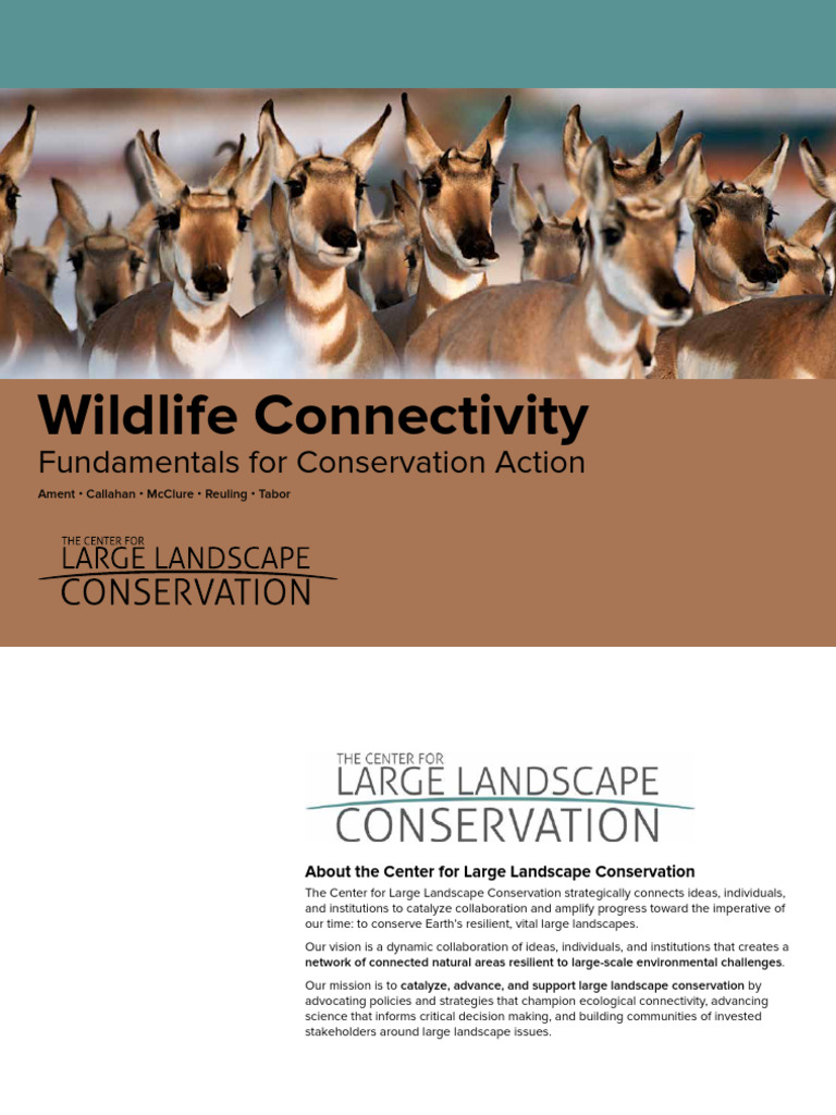 Wildlife-Connectivity-Fundamentals-for-Conservation-Action | PDF ...