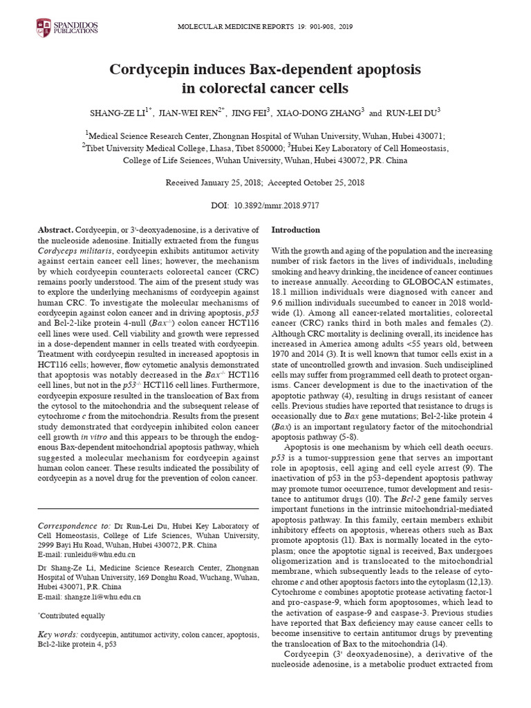 Cordycepin Induces Bax Dependent Apoptosis | PDF | Colorectal Cancer ...