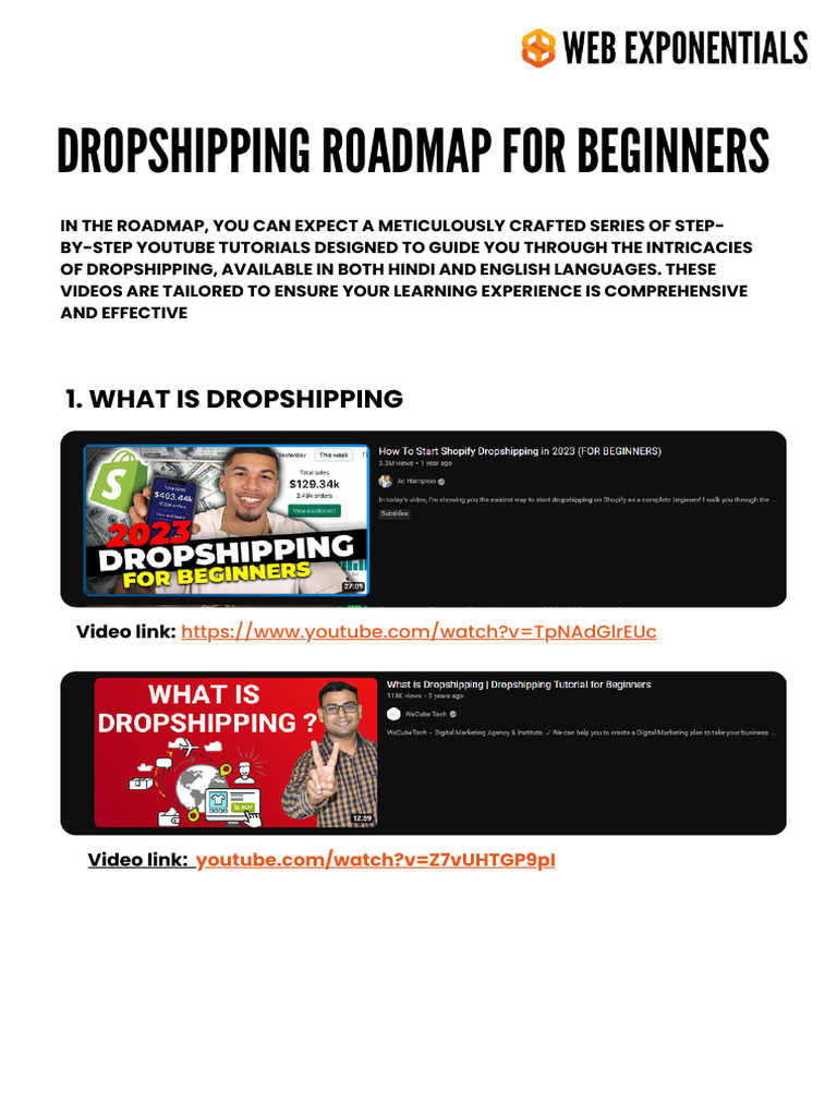 Dropshipping Roadmap For Beginners Csqlki | PDF
