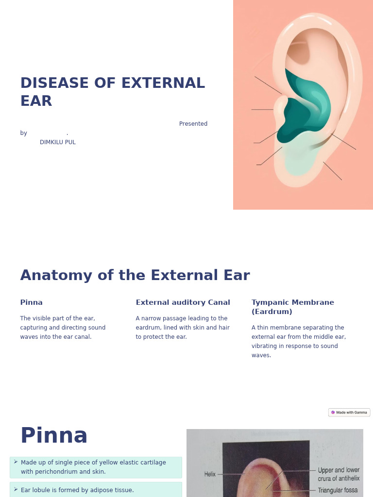 Disease of External Ear | PDF | Ear | Human Head And Neck