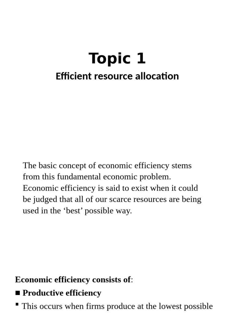 Topic 1 Efficient Resource Allocation | PDF | Pareto Efficiency ...