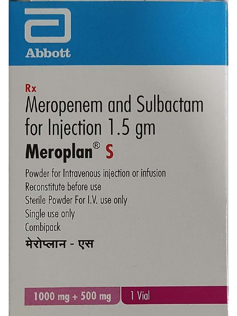 Meroplan | PDF