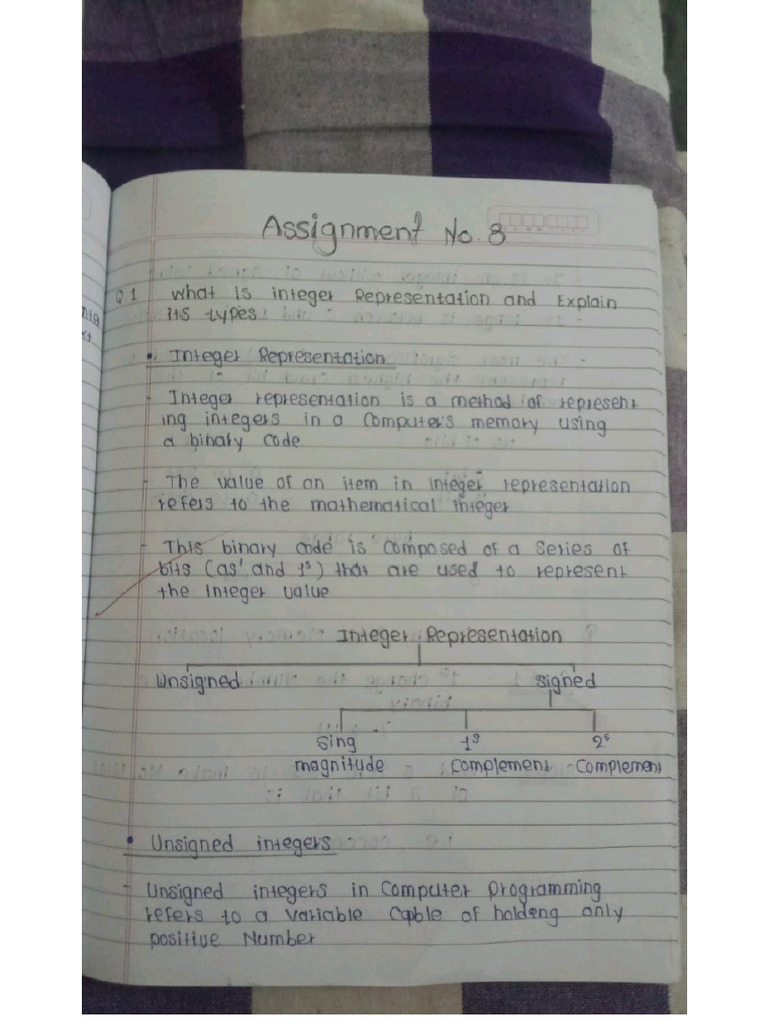 Coa 3 | PDF