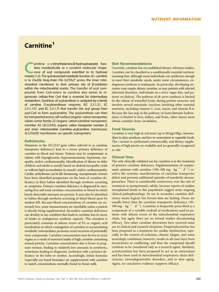 Carnitine | PDF | Metabolism | Biochemistry