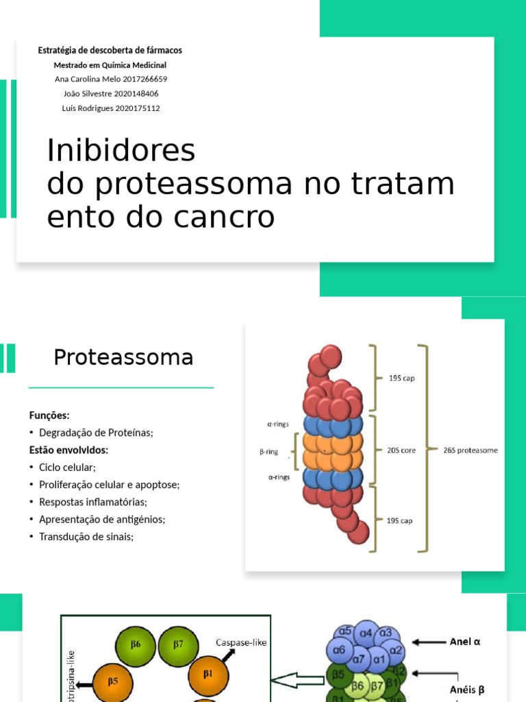 Inibidores Do Proteassoma v4 | PDF | Ubiquitina | Nutrientes