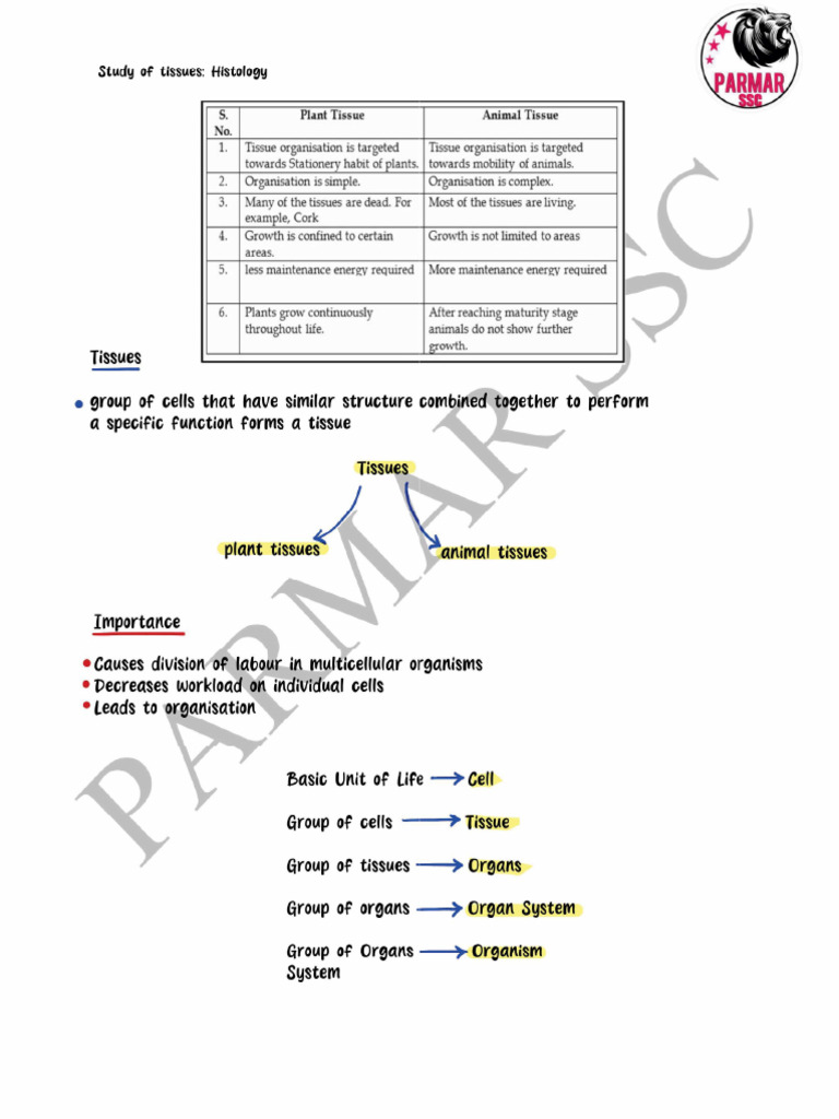 Pol Science English Notes by Parmar Sir | PDF