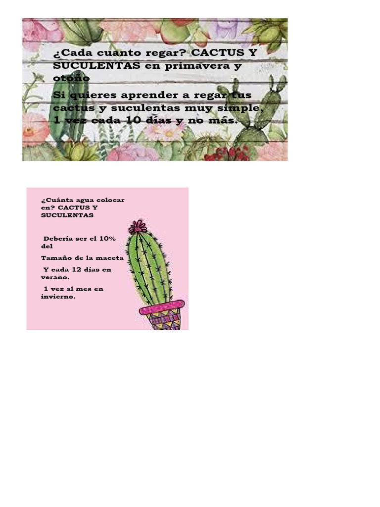 riego cactus | PDF