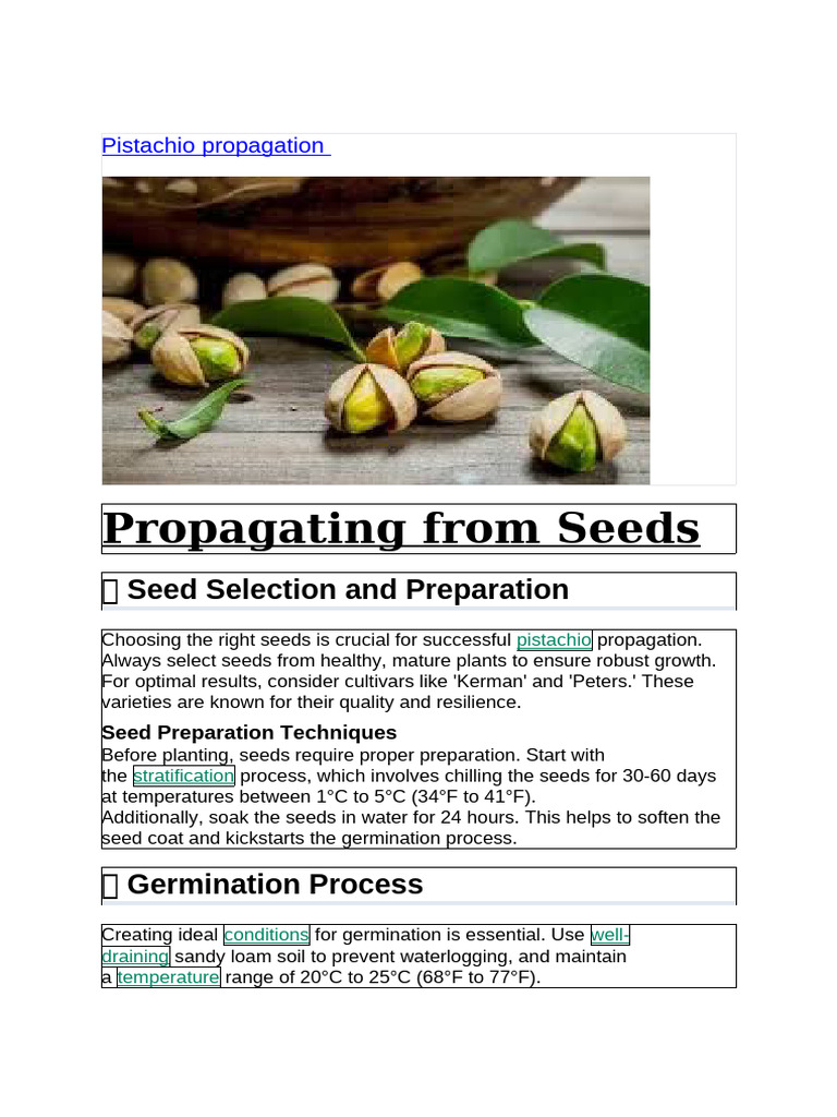 Pistachio Propagation | PDF