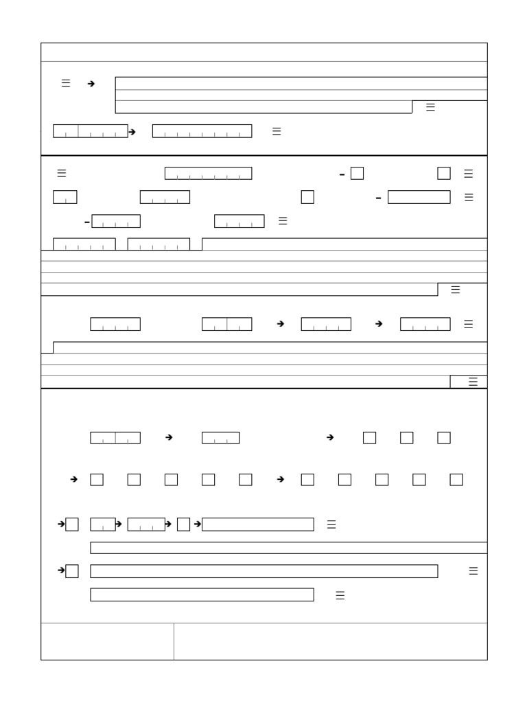 International Flight Plan Form | PDF