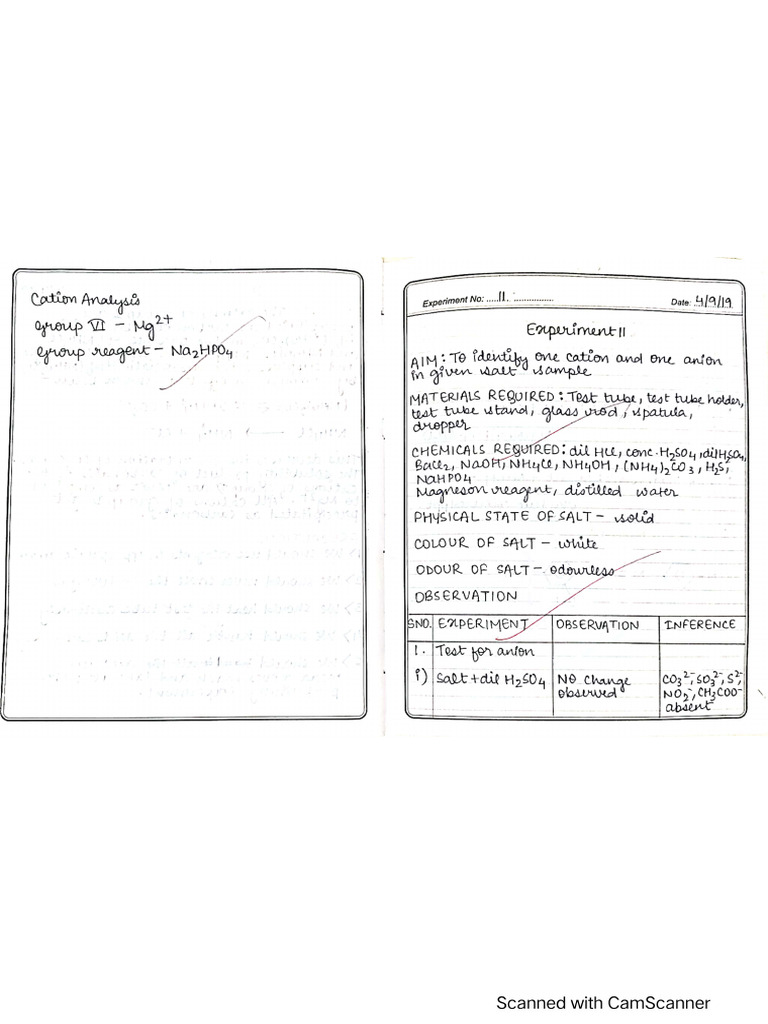 XII. Exp. No. 11 - Salt Analysis | PDF