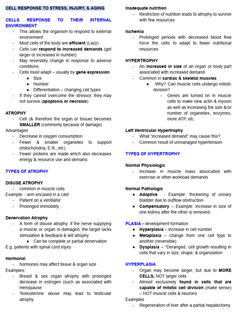 Pathop' Hysio Prelims Reviewer 1 | PDF | Metastasis | Cancer