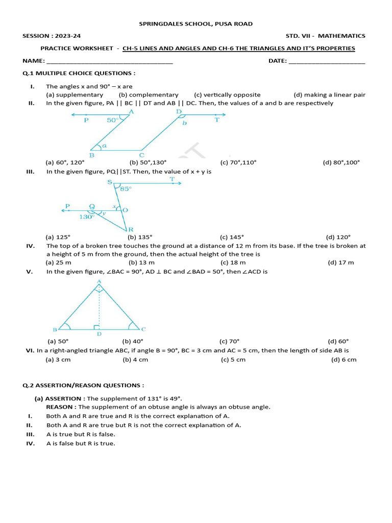 STD.7 LINES AND ANGLES AND TRIANGLES PRACTICE WORKSHEET | PDF ...