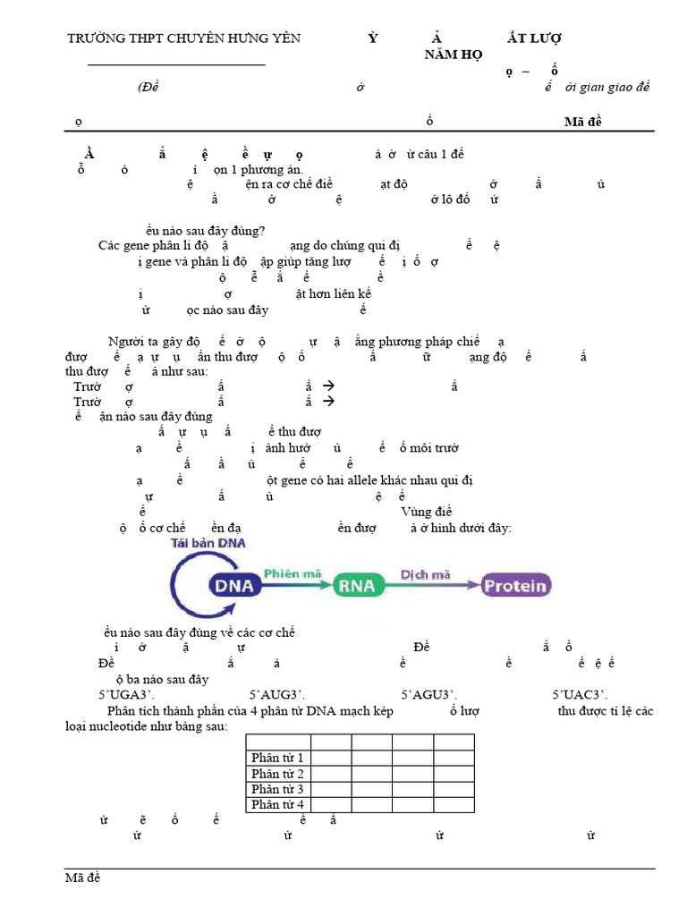 Ma de 121 | PDF