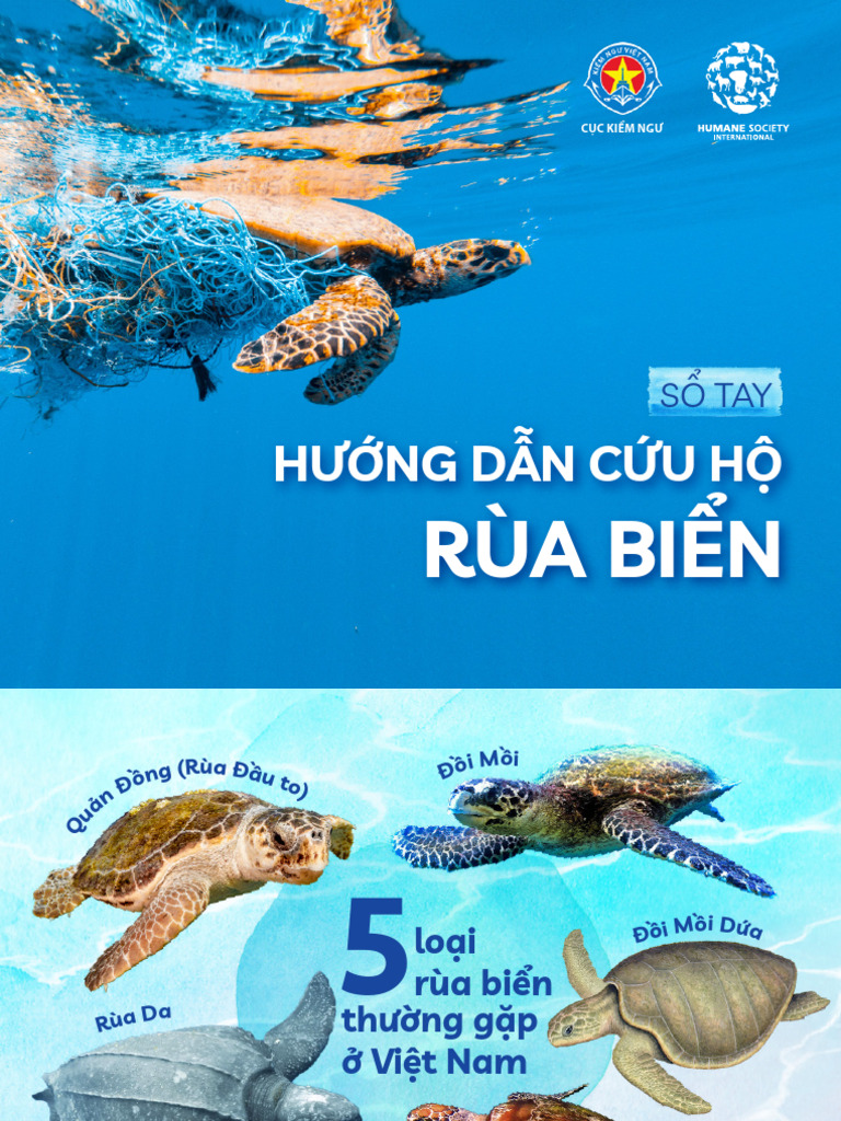 S Tay C U H Rùa View 10 | PDF