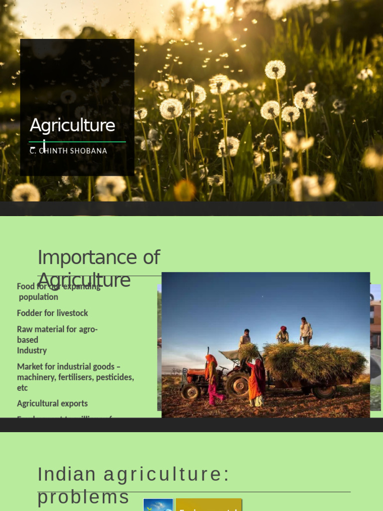 Challenges and Impact of Indian Agriculture | PDF | Agriculture | Green ...