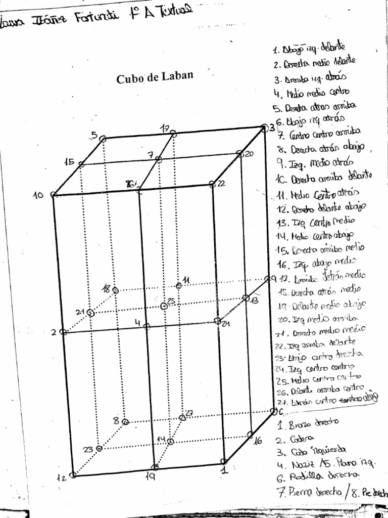 Cubo Puntos y Partes Del Cuerpo | PDF