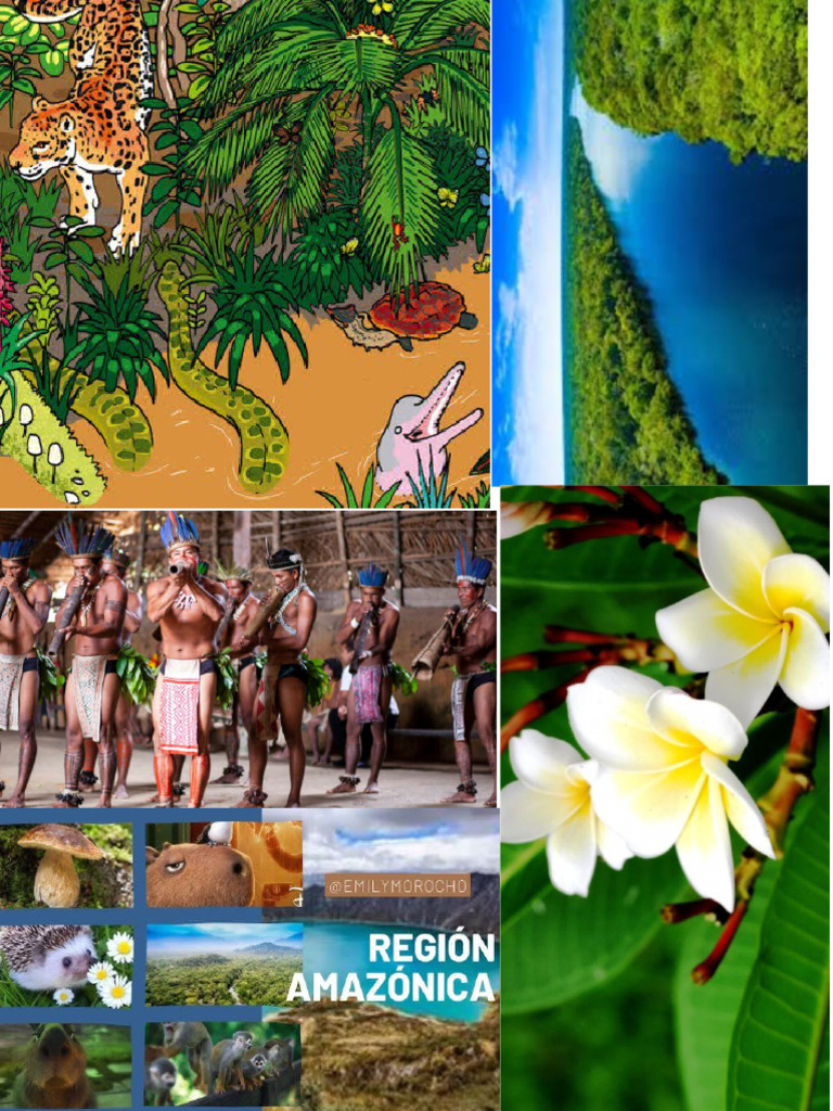 Region Amazonica Maria Jose | PDF