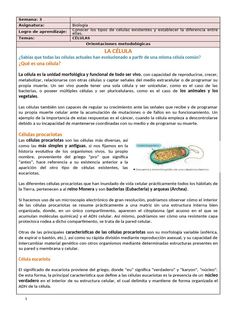 Tipos de Células: Procariotas y Eucariotas | PDF | Biología Celular ...