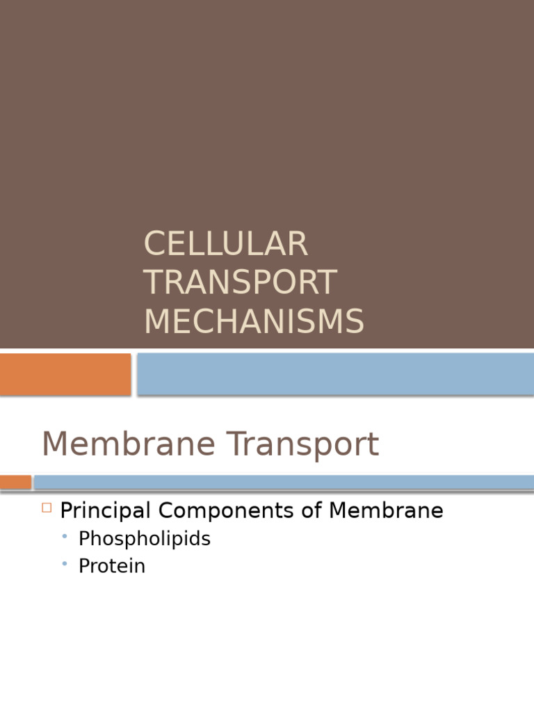 Cellular Transport Mechanisms | PDF | Cell Membrane | Lipid Bilayer
