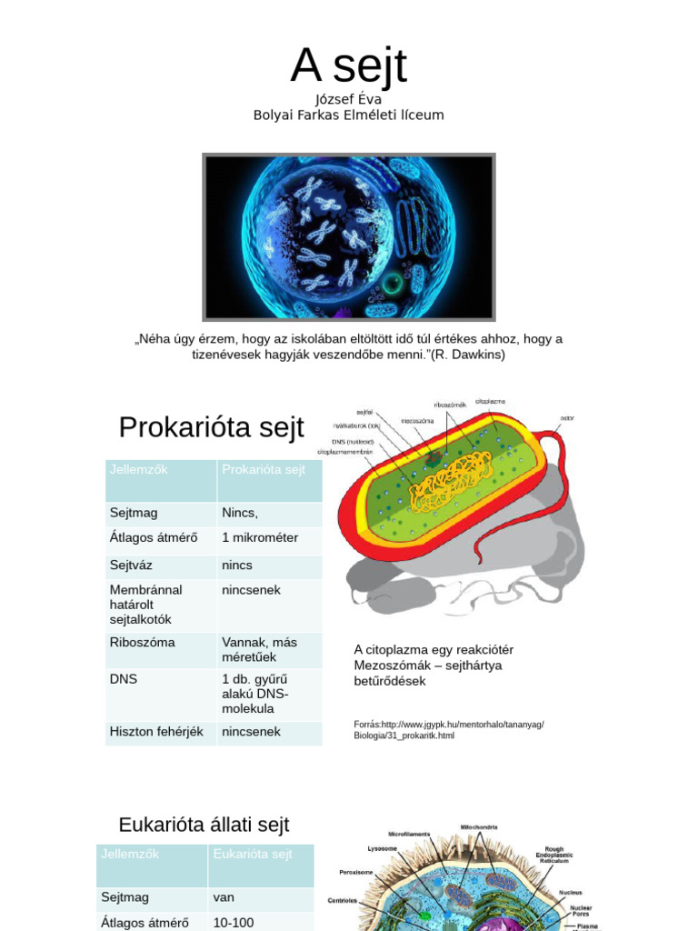 A Sejt | PDF