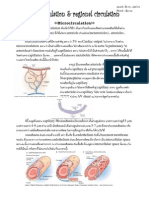 แกะเทป Micro Circulation & Regional Circulation