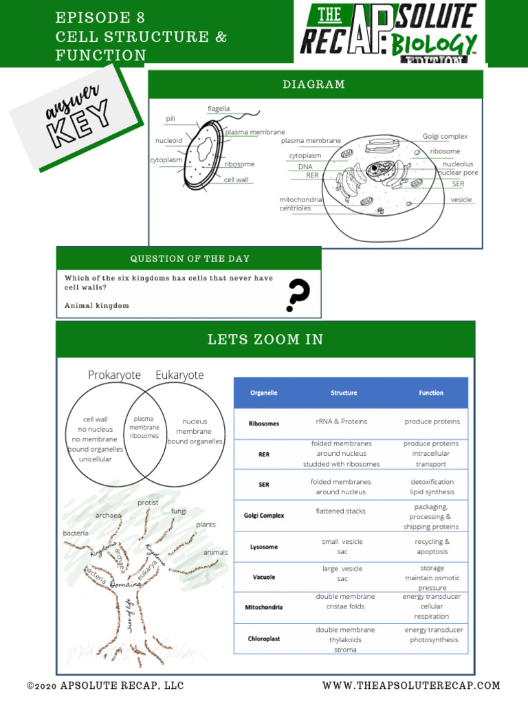 008 SG Key - The APsolute RecAP Biology | PDF | Cell (Biology) | Cell ...