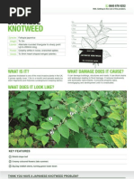 Download Japanese Knotweed Identification Sheet by Invasive Weeds Agency - Japanese Knotweed Removal SN81201723 doc pdf