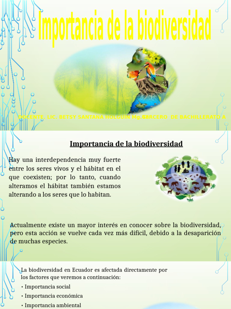 Importancia de la Biodiversidad en Ecuador | PDF | Biodiversidad ...