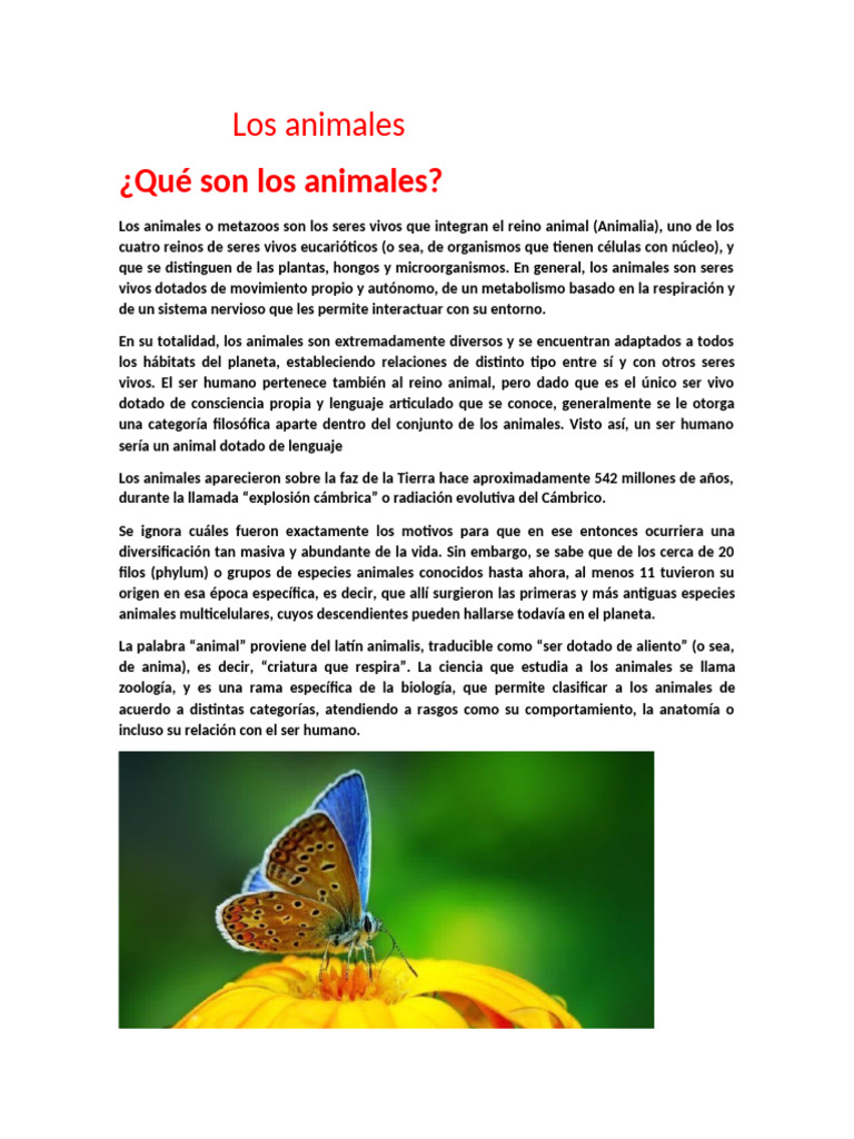 Los Animales | PDF