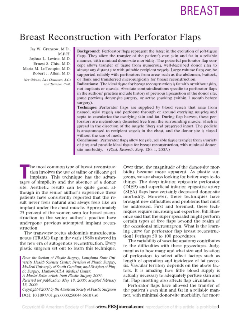 Breast reconstruction with perforator flaps odlomak | PDF | Vein