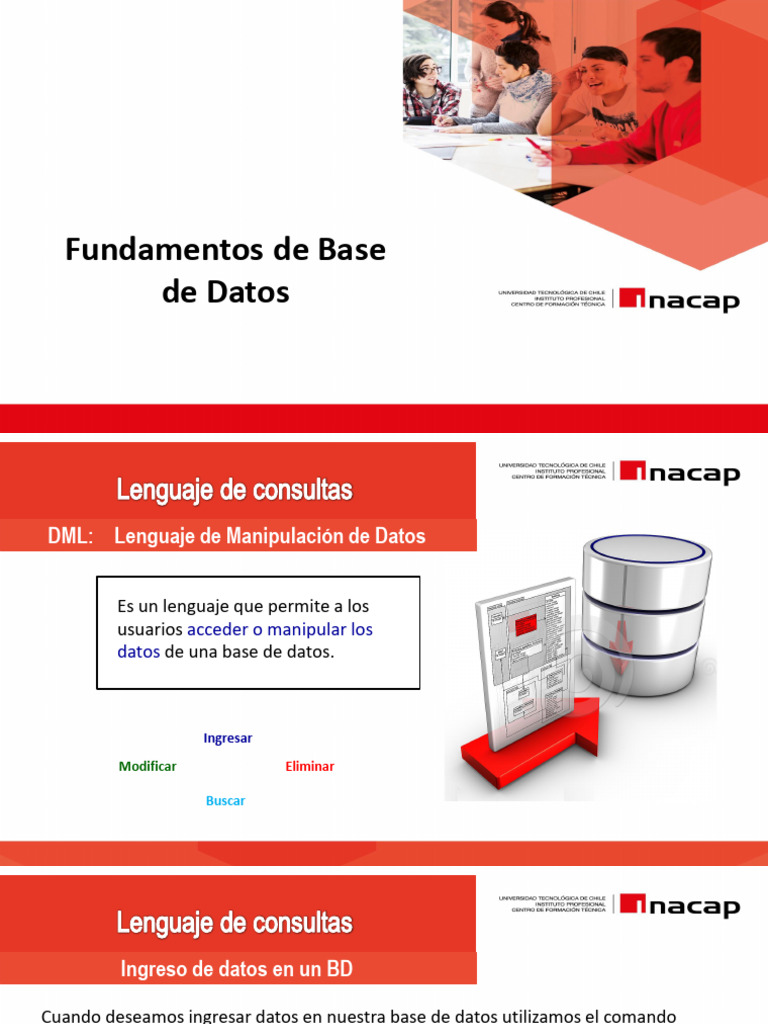 Fundamentos del DML en Bases de Datos | PDF