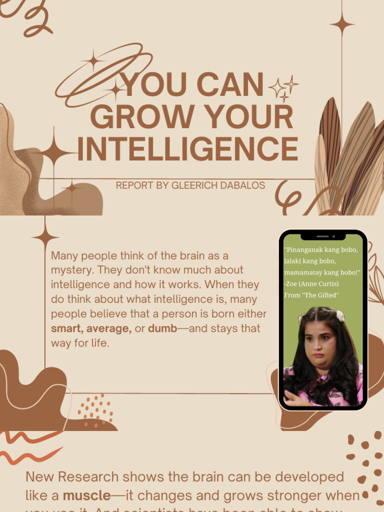 Gleer PPT | PDF