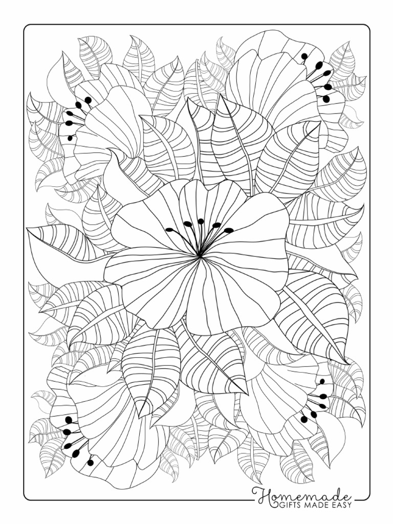 Flower Coloring Pages Detailed Patterned Leaves Flowers | PDF