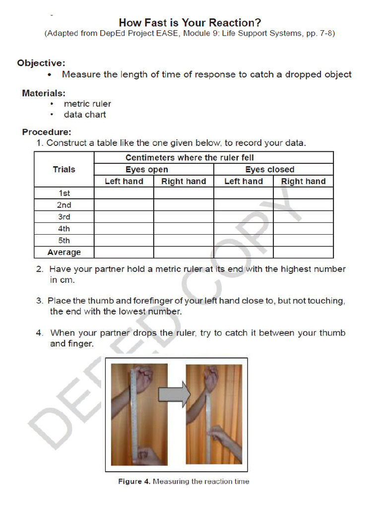 Reaction Time | PDF